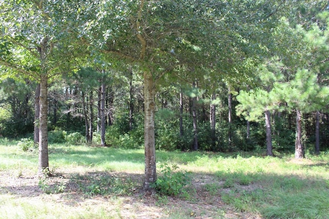 232 County Road 173, Jasper, TX 75951