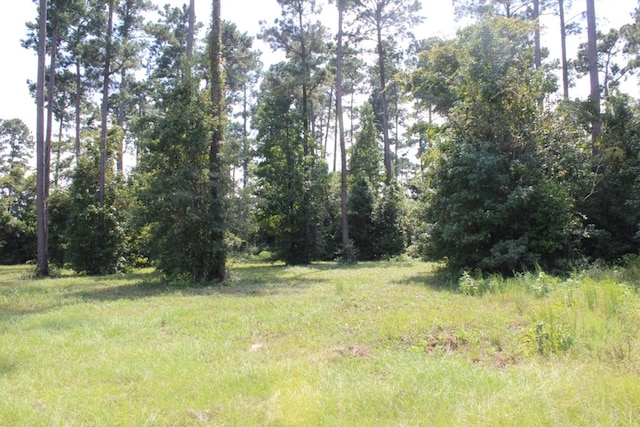 232 County Road 173, Jasper, TX 75951
