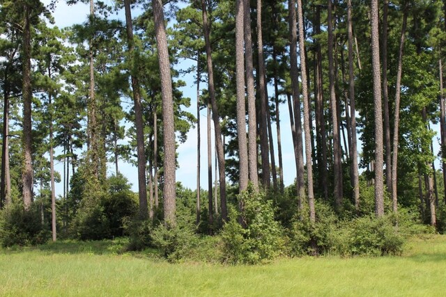 232 County Road 173, Jasper, TX 75951