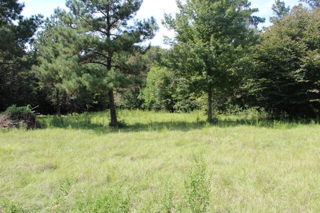 232 County Road 173, Jasper, TX 75951
