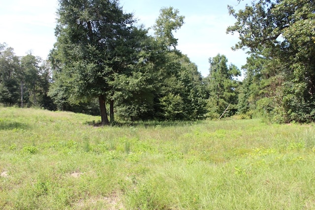232 County Road 173, Jasper, TX 75951