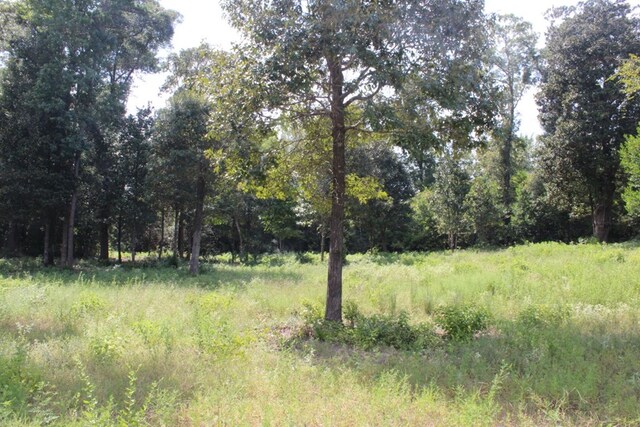 232 County Road 173, Jasper, TX 75951