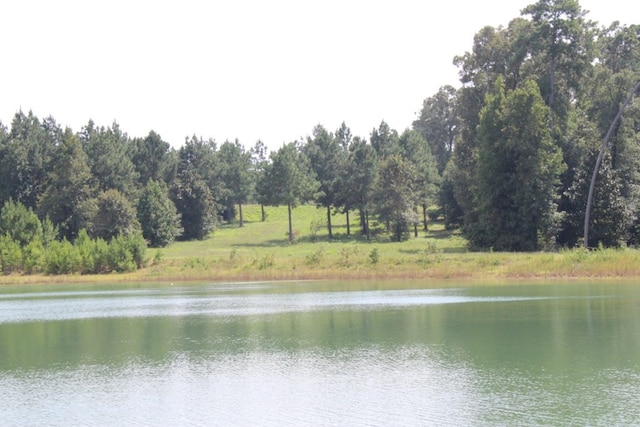 232 County Road 173, Jasper, TX 75951
