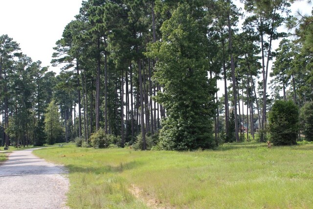 232 County Road 173, Jasper, TX 75951