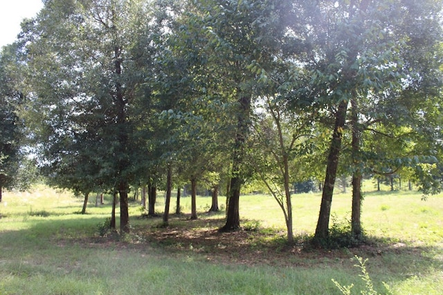232 County Road 173, Jasper, TX 75951