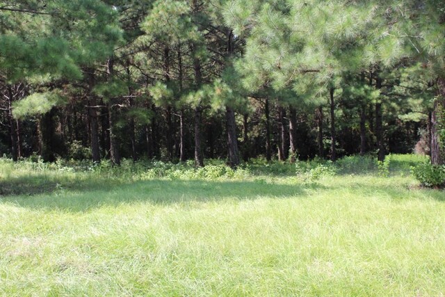 232 County Road 173, Jasper, TX 75951