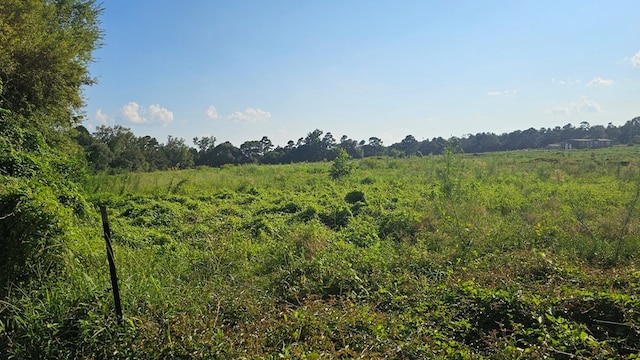 view of landscape featuring a rural view