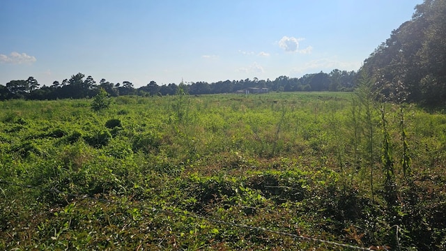 view of local wilderness with a rural view