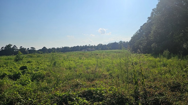 view of nature with a rural view