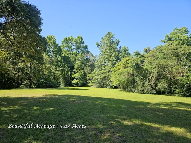 802 W Elder St, Colmesneil, TX 75938 - photo 26