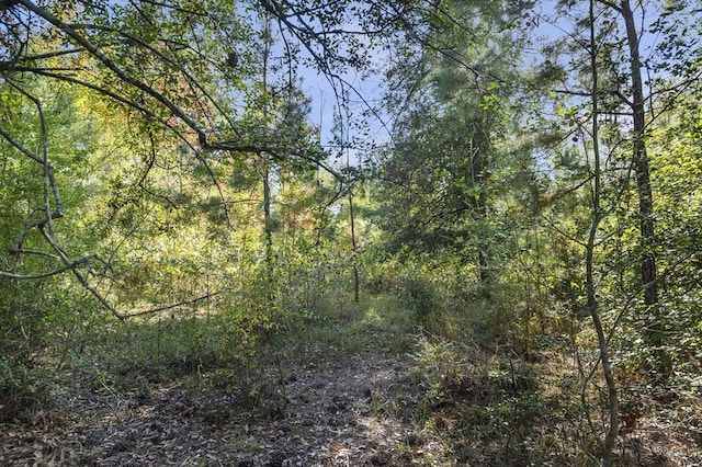 Listing photo 3 for R32313 Sandy Creek Rd, Zavalla TX 75980