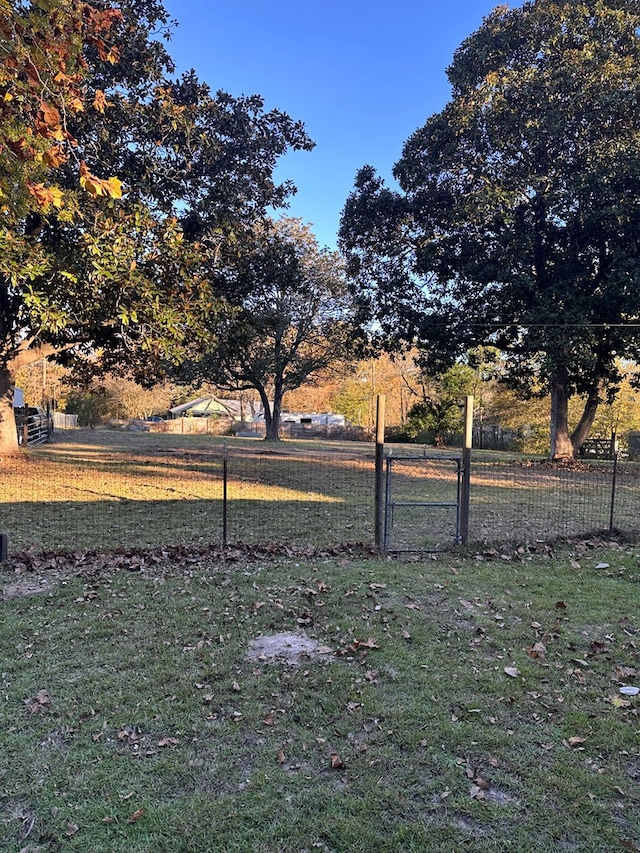 206 Perkins St, Zavalla, TX 75980 - view of yard