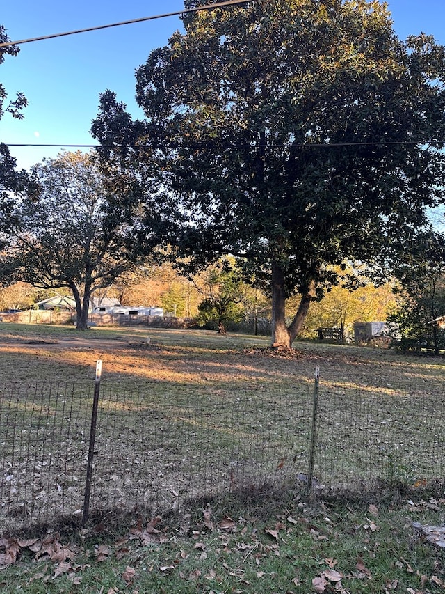 206 Perkins St, Zavalla, TX 75980 - view of yard