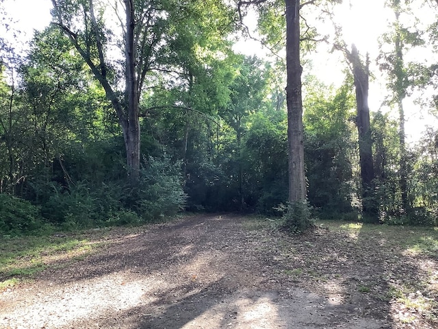 1556 Fm 254, Jasper, TX 75951 - photo 4