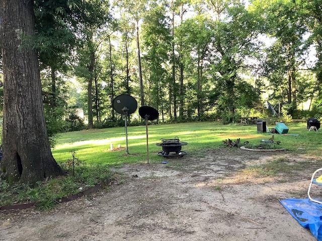 1556 Fm 254, Jasper, TX 75951 - photo 5