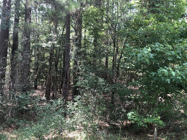 280 Doebecker, Brookeland, TX 75931