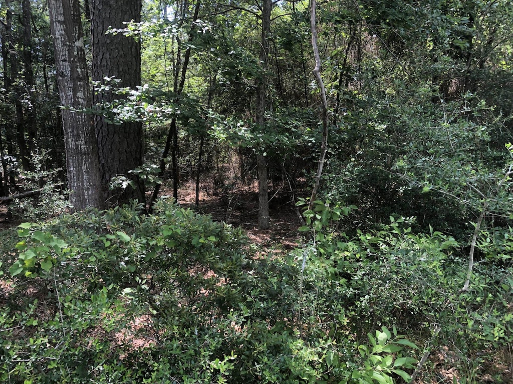 280 Doebecker, Brookeland, TX 75931