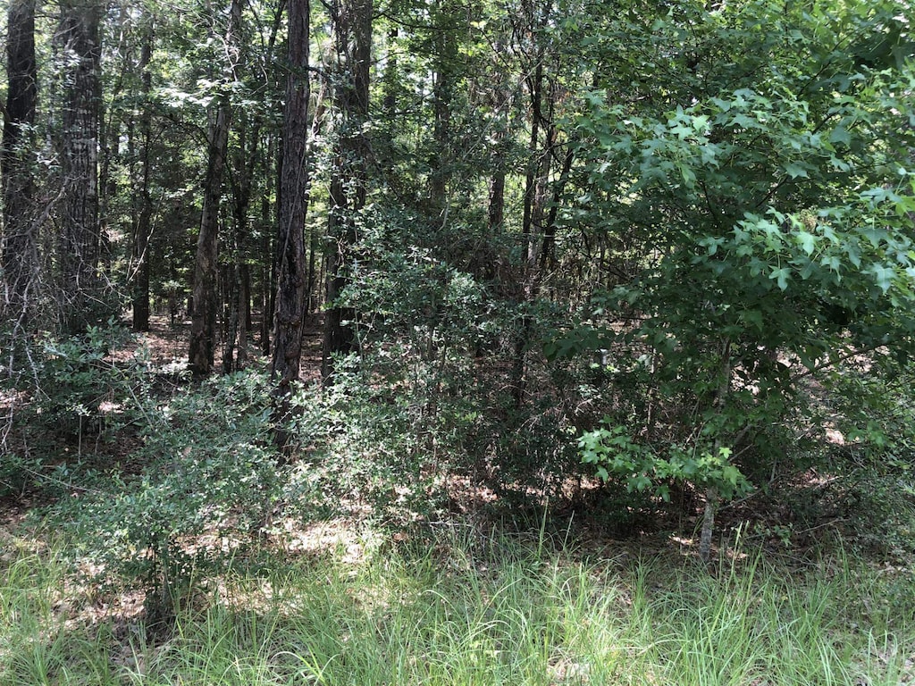 280 Doebecker, Brookeland, TX 75931