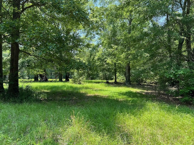 320 Crk 2565, Shelbyville TX, 75973 land for sale