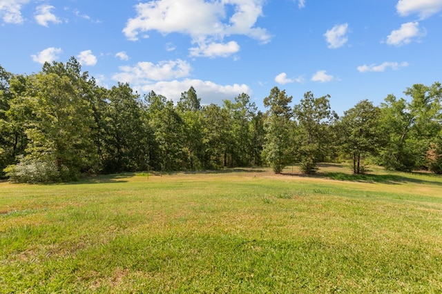 474 Mountain View Rd, Lufkin, TX 74904 - view of green lawn featuring a view of trees