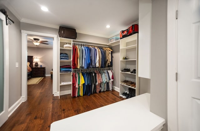 spacious closet with ceiling fan, a barn door, and wood finished floors