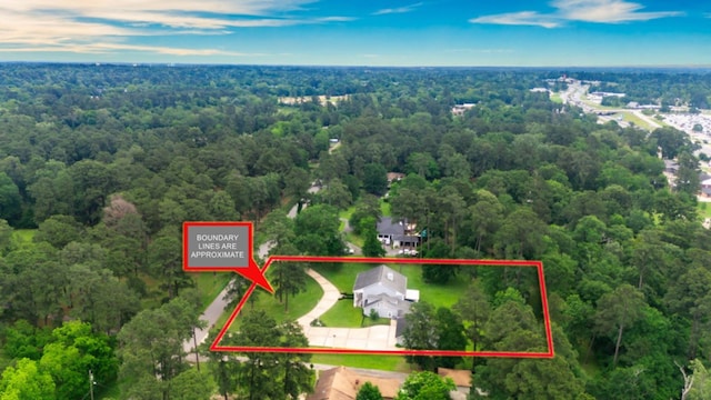 aerial view with a view of trees