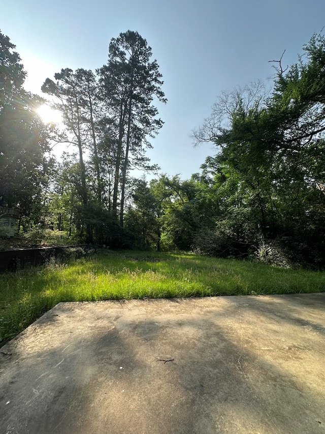 6197 State Highway 147, Center, TX 75935 - view of yard