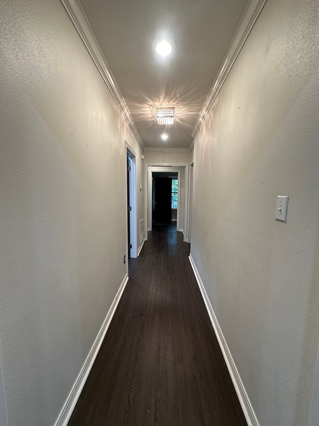6197 State Highway 147, Center, TX 75935 - hallway with dark wood-style flooring and ornamental molding