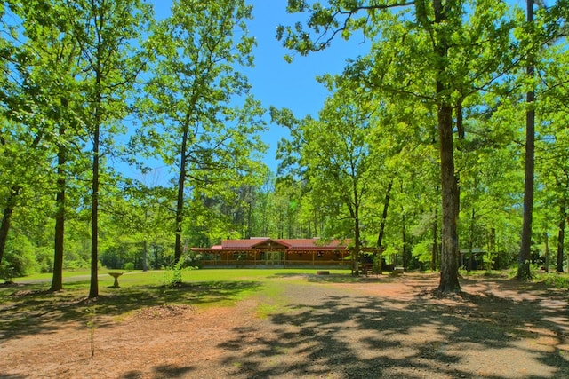 590 Angela Ln, Hemphill, TX 75948 - view of yard with a wooded view