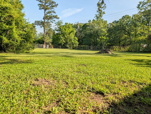 663 Mount Carmel Rd, Lufkin, TX 75904 - view of yard