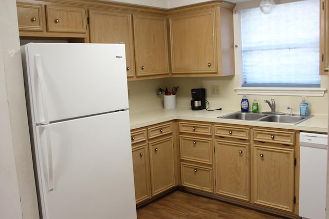 kitchen featuring white appliances, dark hardwood / wood-style flooring, and sink