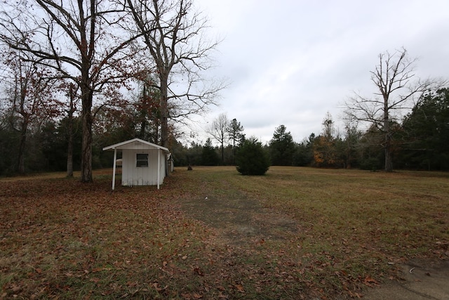 view of yard with a storage shed