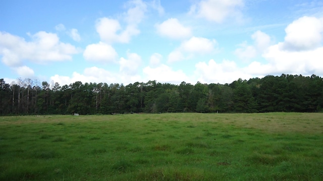 3334 Housen Holw, Bronson, TX 75930
