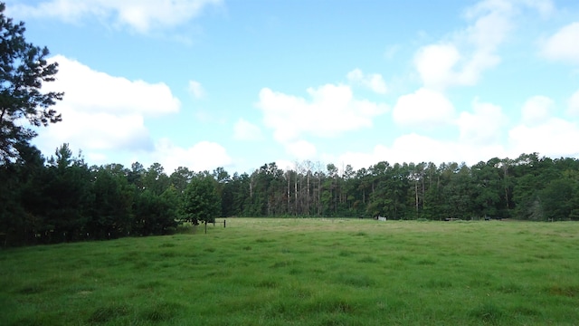 3334 Housen Holw, Bronson, TX 75930