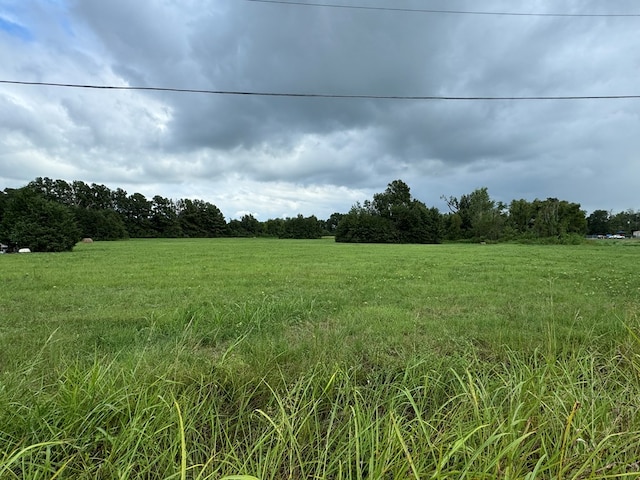 view of local wilderness with a rural view