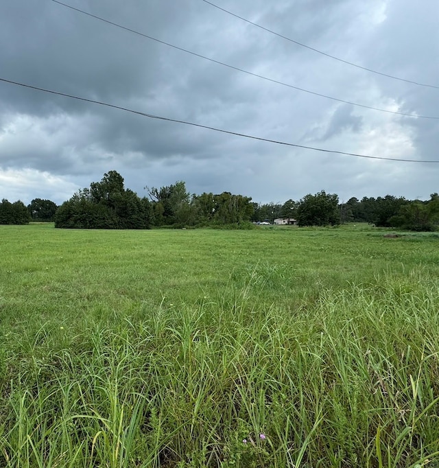 view of landscape featuring a rural view