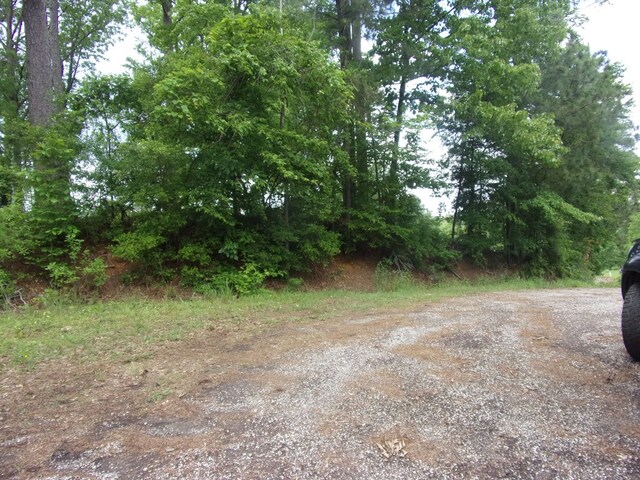 230 Crestwood St, Hemphill, TX 75948 - photo 9