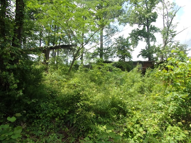 230 Crestwood St, Hemphill, TX 75948 - photo 3