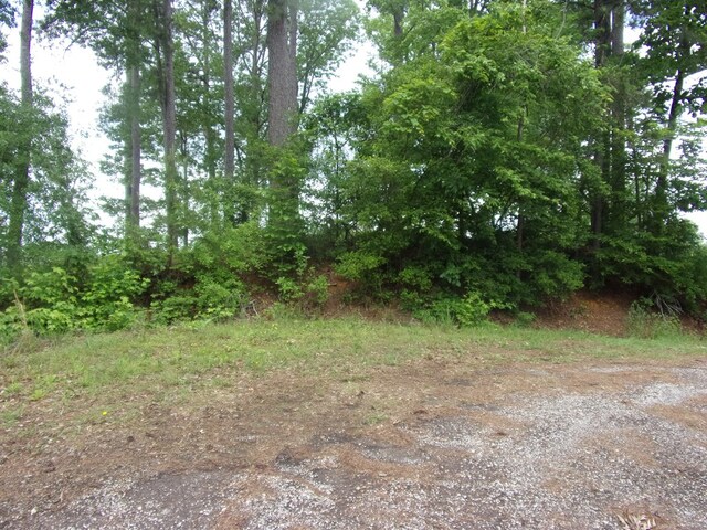 230 Crestwood St, Hemphill, TX 75948 - photo 8