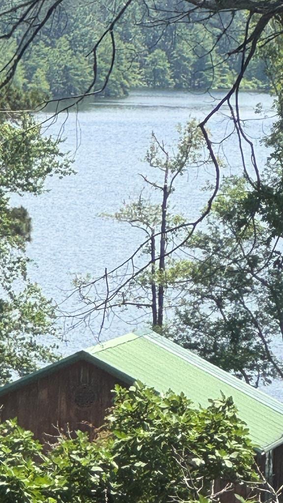 230 Crestwood St, Hemphill, TX 75948 - photo 15