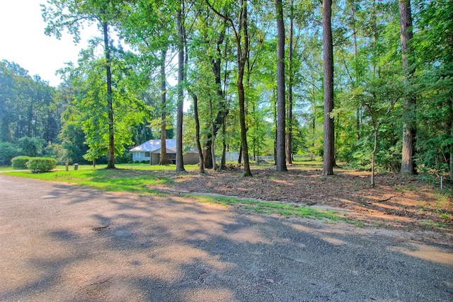 910 Lakeshore Dr, Hemphill, TX 75948 - view of front facade with a wooded view