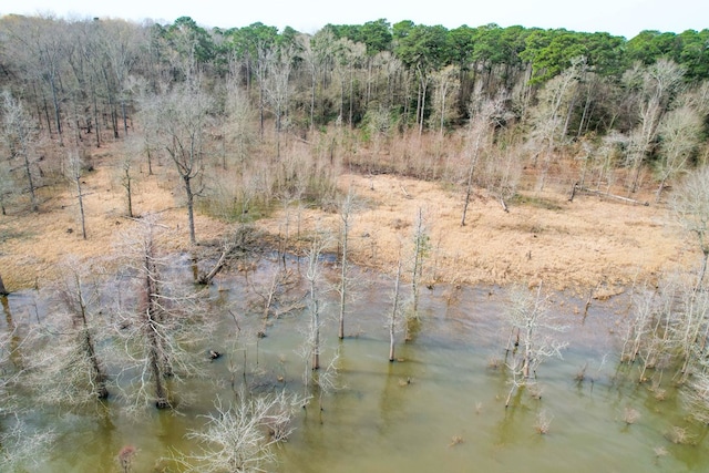 view of nature featuring a wooded view and a water view