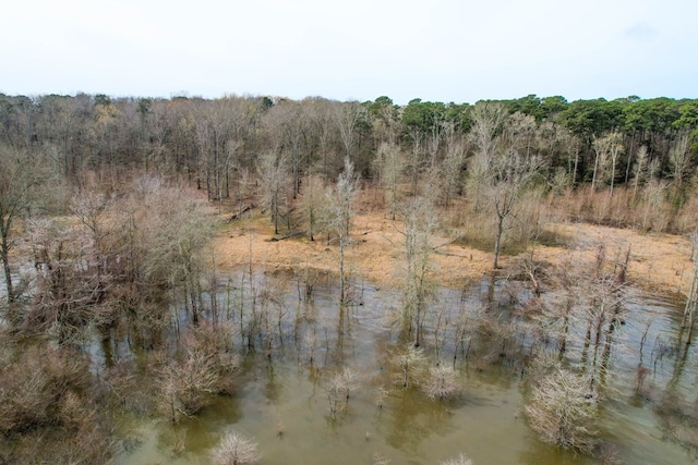 view of nature featuring a wooded view