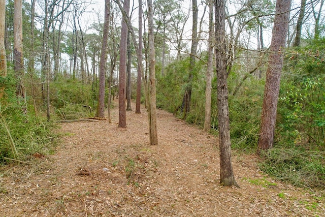 view of local wilderness