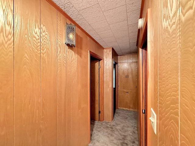 hallway with carpet flooring, wood walls, and ornamental molding