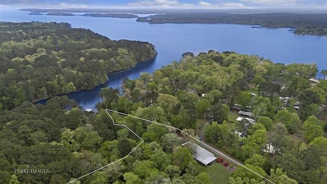 211 Winfree Dr, Hemphill, TX 75948 - aerial view featuring a water view and a wooded view