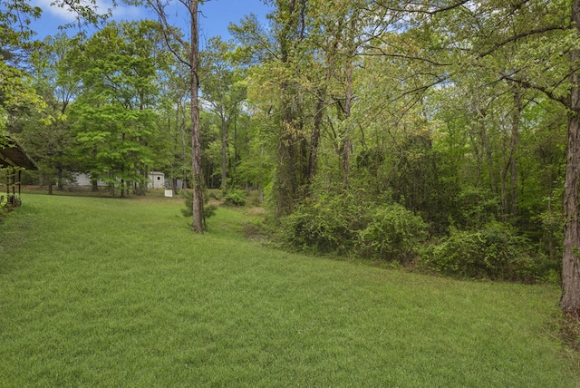 211 Winfree Dr, Hemphill, TX 75948 - view of yard with a wooded view