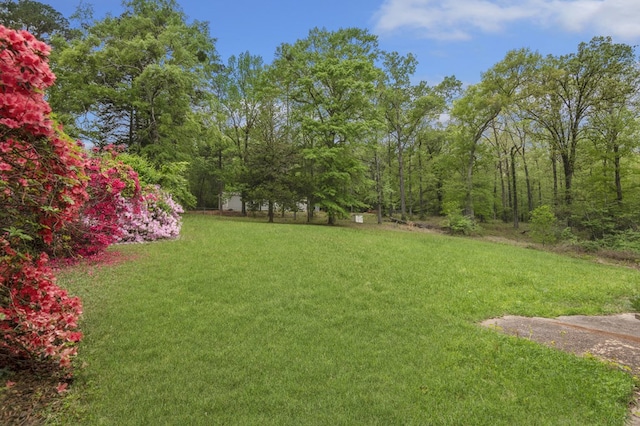 211 Winfree Dr, Hemphill, TX 75948 - view of yard