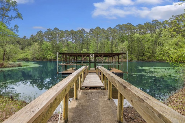 211 Winfree Dr, Hemphill, TX 75948 - view of dock with a water view and a view of trees