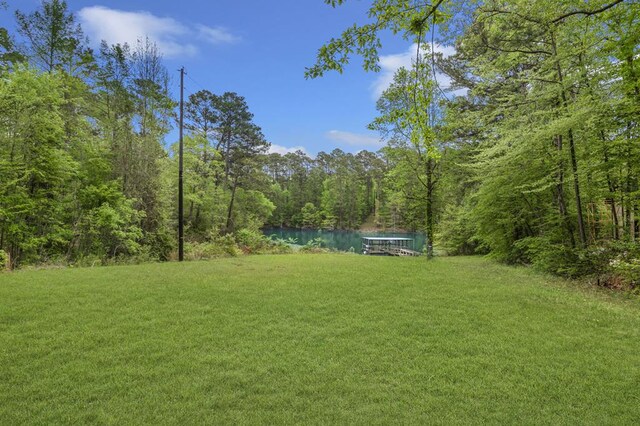 211 Winfree Dr, Hemphill, TX 75948 - view of yard with a water view and a view of trees